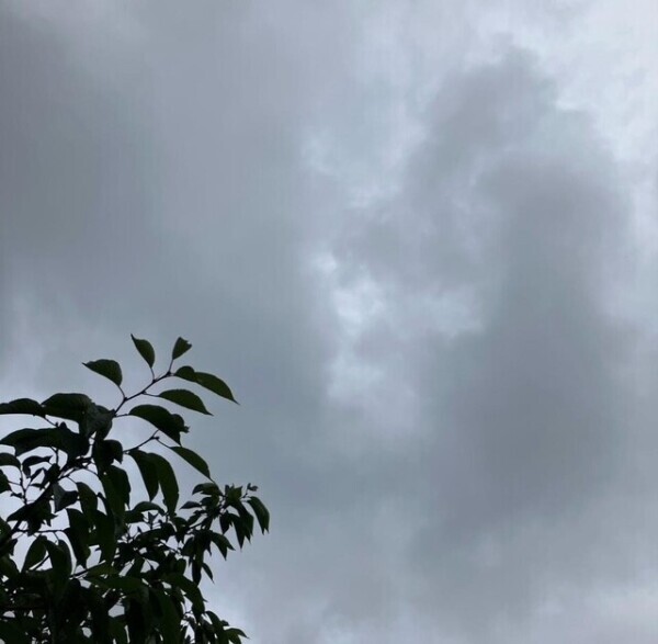 おはようございます