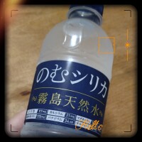 鴨打