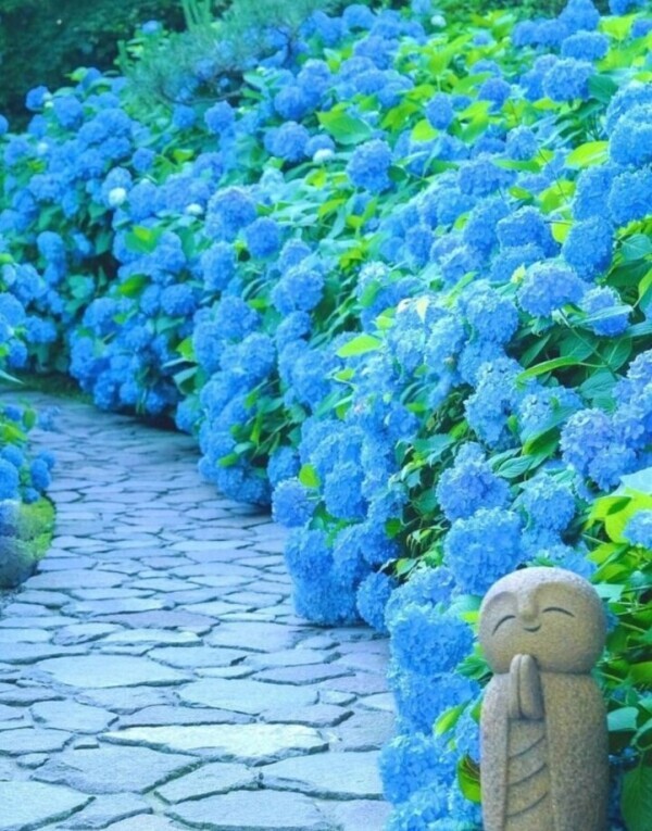 ✨🪷楽しい一時を🪷✨
