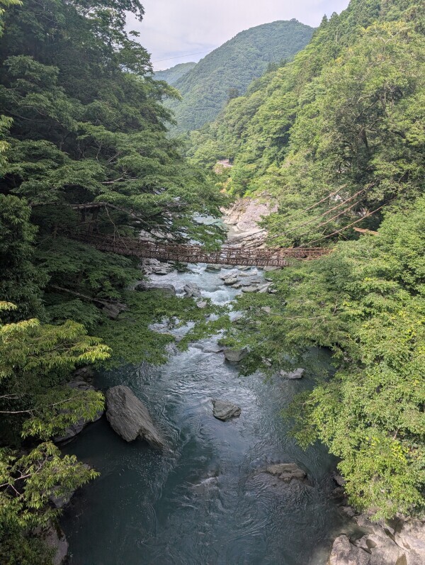 本日お休みです🌿