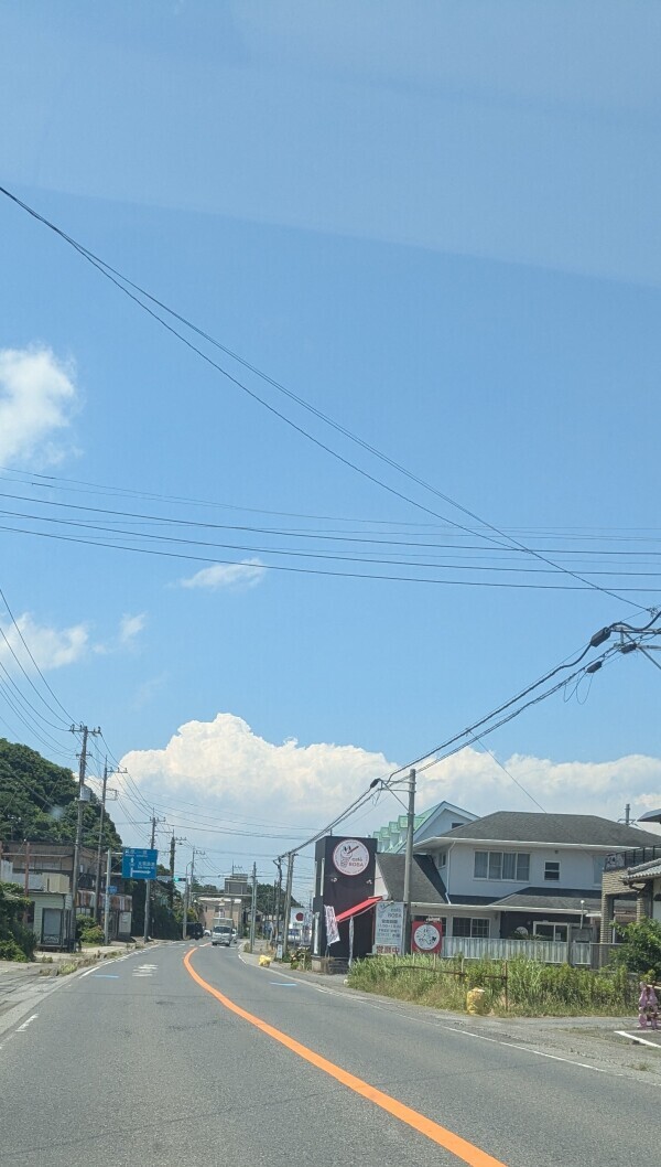 夏っぽい