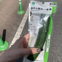 これから！🥒💚