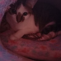 おやすみなさい😴