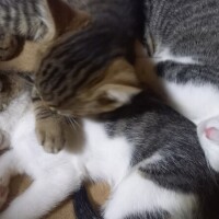 お休み２日目🎵