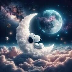 おやすみなさい🌙*·̩͙