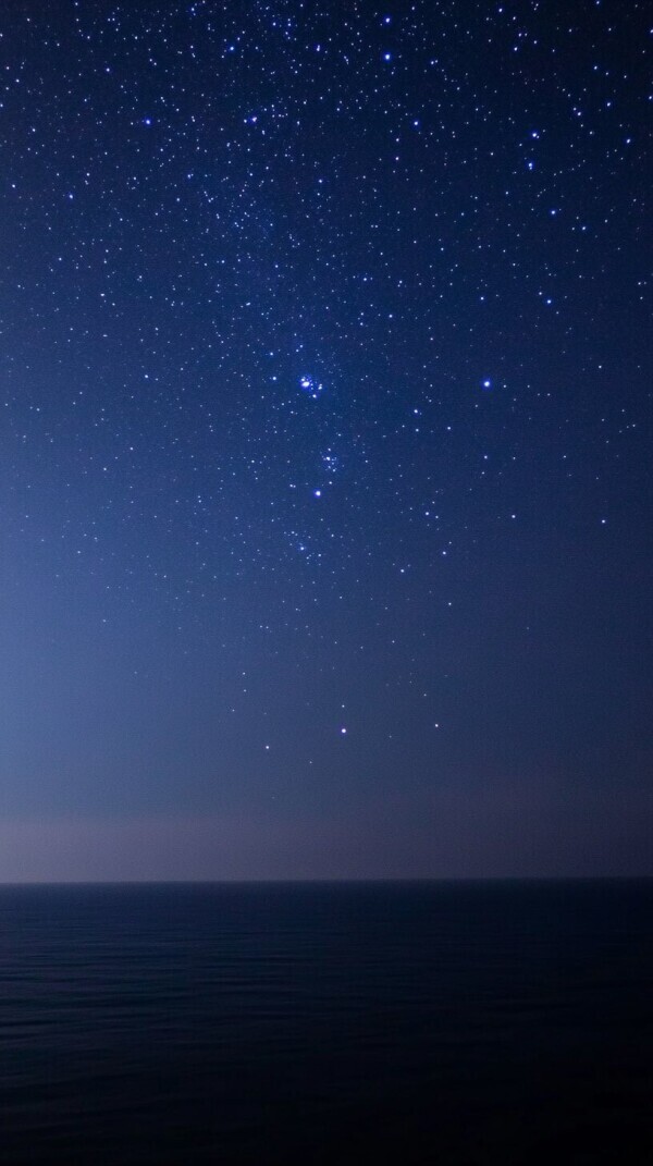 🌙* :ﾟ