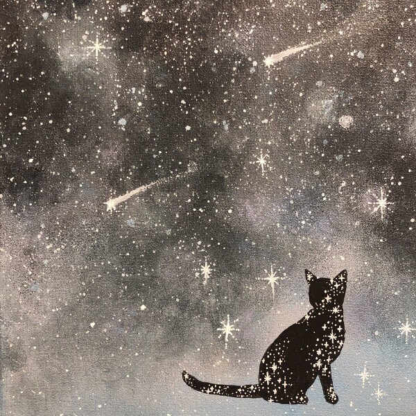 🫧⭐️今日も１日お疲れ様です🫧⭐️