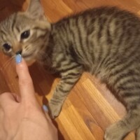いつもの🎵