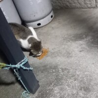 そういえば！
