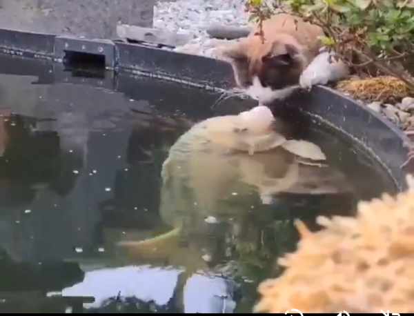 おはようございます😊