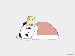 おはようございます(๑- -๑) . z Z