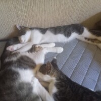 おはようございます🥵
