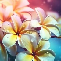 (土)お休み(日)お昼から🤗