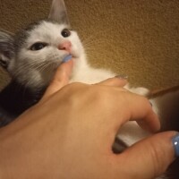 今日も🎵