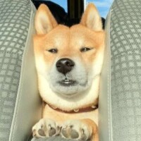 お疲れ様