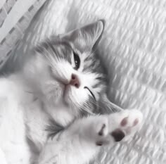 おはよう