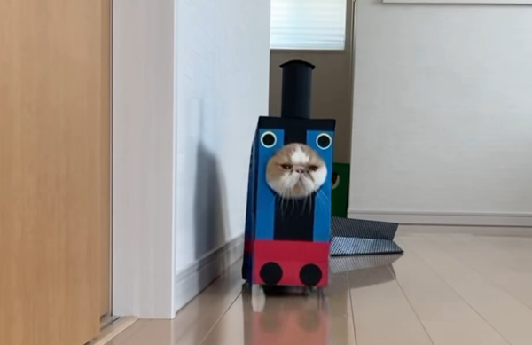 おはようございます😊