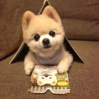 お疲れ様