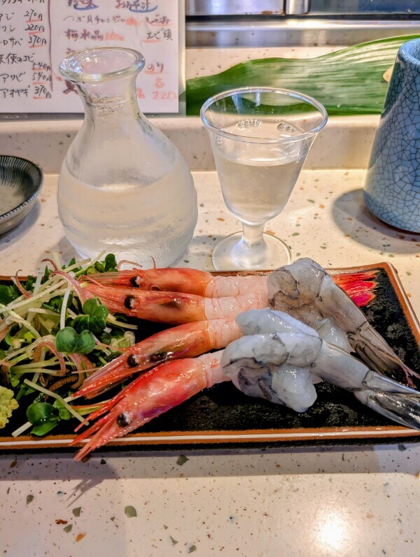 エビ🦐💕