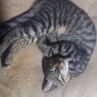 眠たい💤