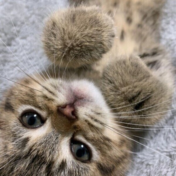 おやすみ