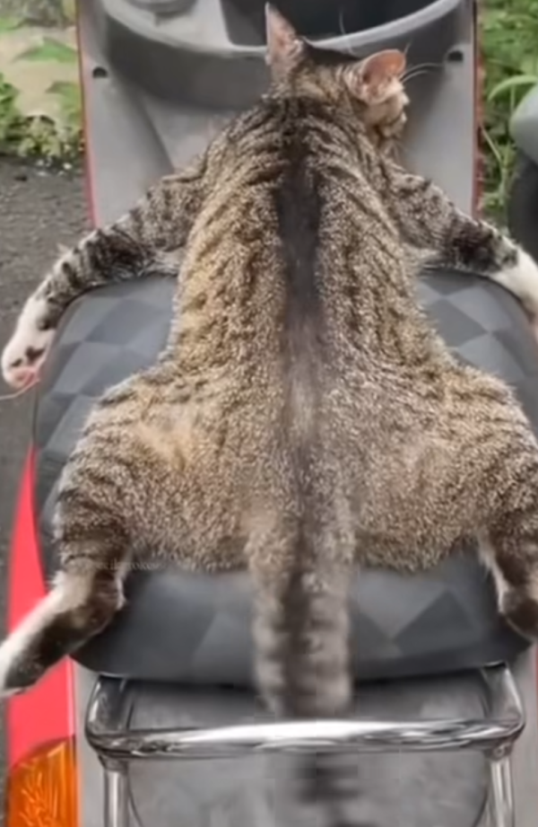 つ、、、疲れた😵