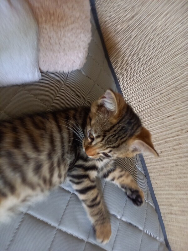 おやすみなさい😴