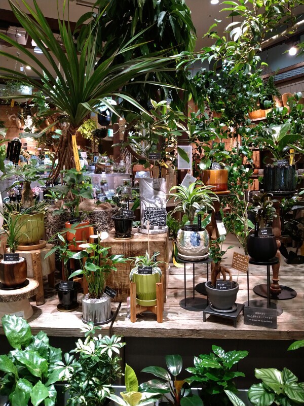 癒される🌿