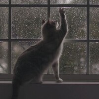 出勤しました✩.*˚