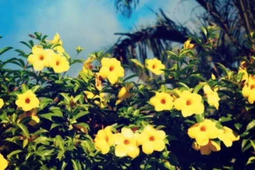 おはようございます☀️