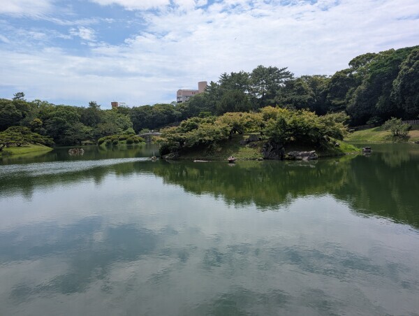 松は常緑