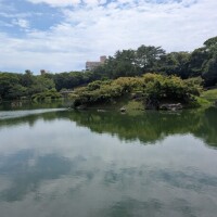 松は常緑