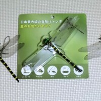 ホントに虫除け？