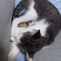 そこで…(・_・?)