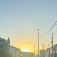 眩しい☀️