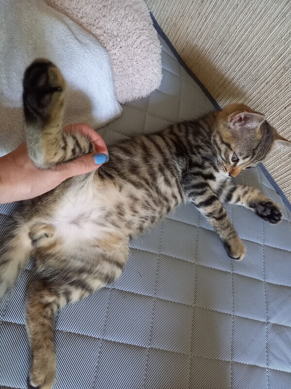 おやすみなさい😴