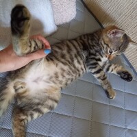 おやすみなさい😴