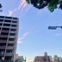出勤します☆