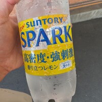 自販機で強炭酸を買ったら