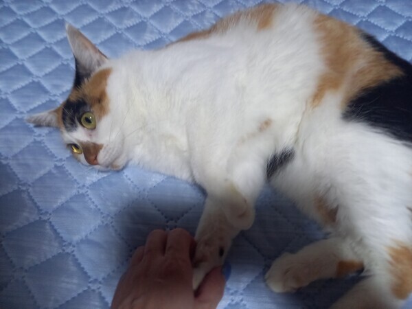 さっき
