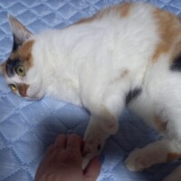 さっき