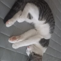 猛暑🥵