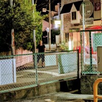 いたいたっ！