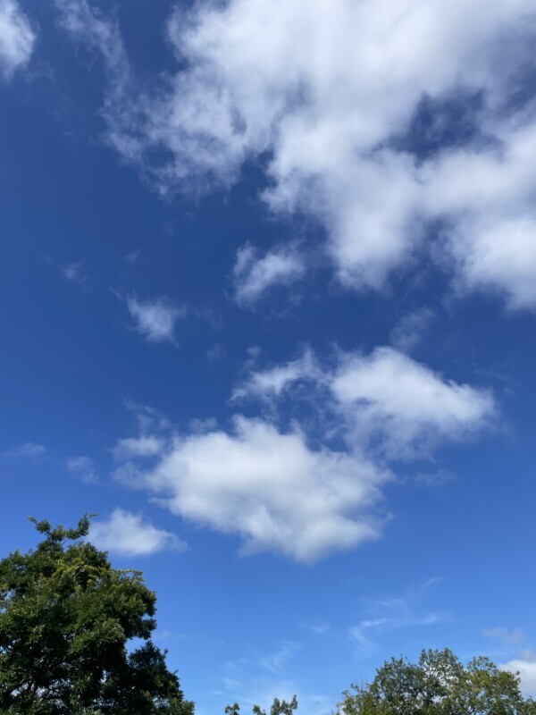 綺麗な青💙