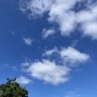 綺麗な青💙