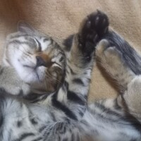 おはようございます☀️