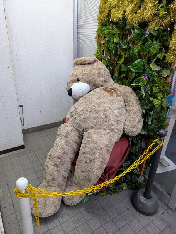 くまさんも…