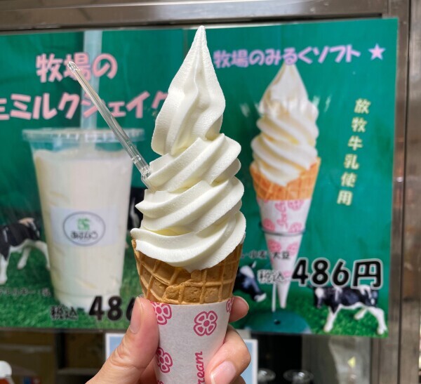 おかわり🍦