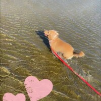 ✨🪷今日も暑いですね🪷✨