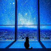 お疲れ様でした🌃